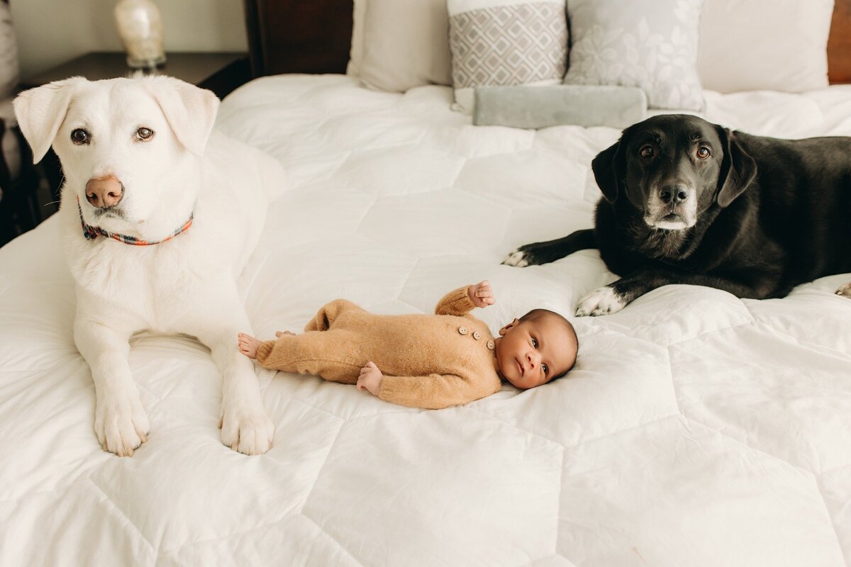 newborn-photography-mckinney-little-elm-prosper-2