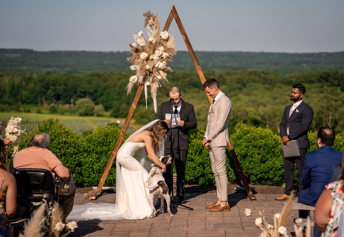 the-overlook-at-geer-tree-farm-griswold-ct-modern-boho-wedding-ceremony-arch-petals-plates-03