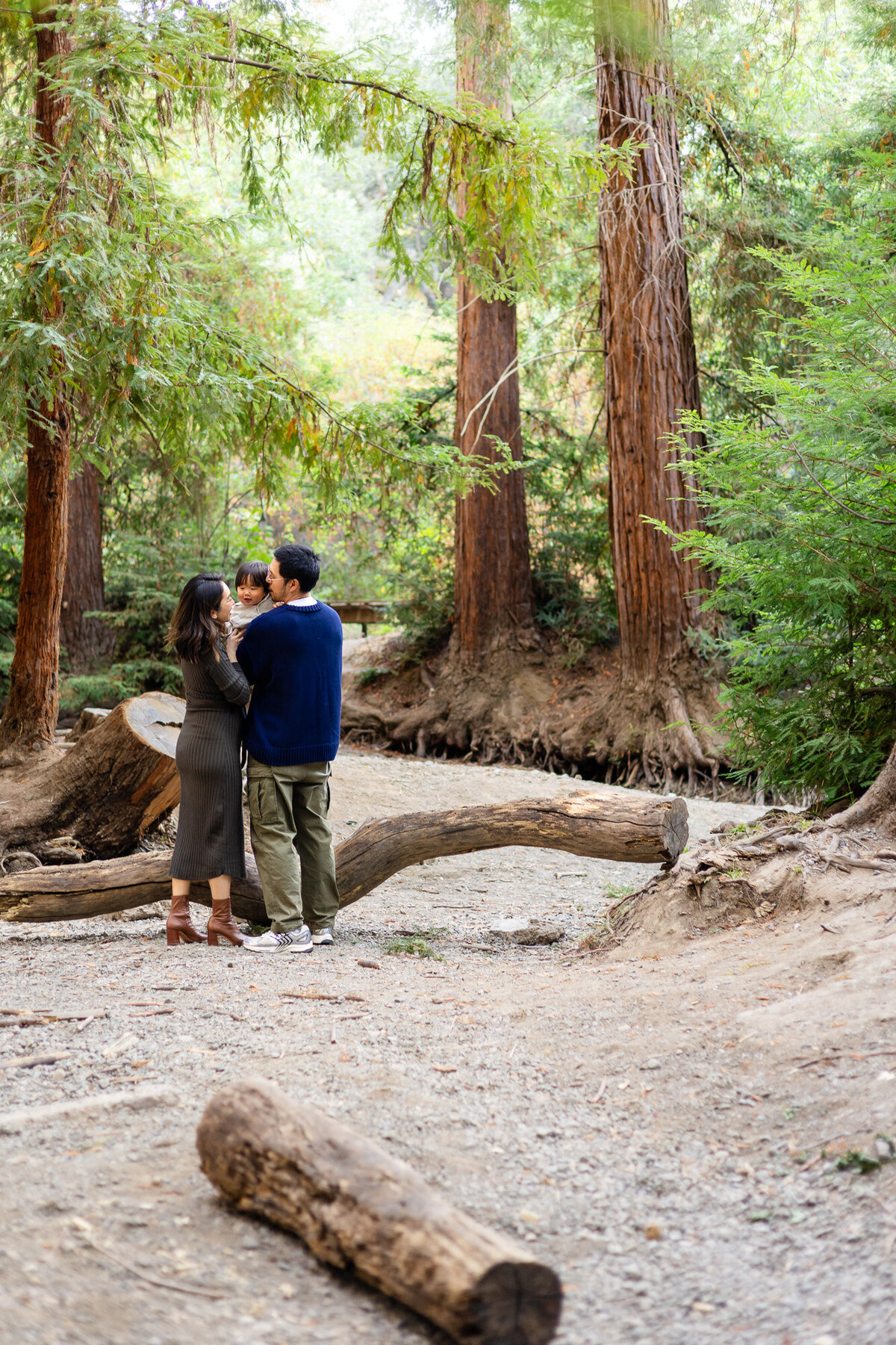 Parents holding toddler while standing among tall redwood trees – Bay Area Family Portfolio | Ellobelle Photography