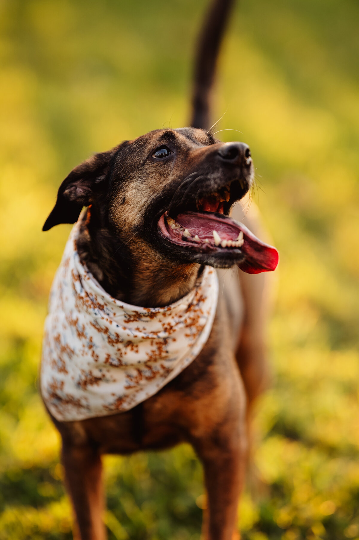 NicoleS_Fall2025_109