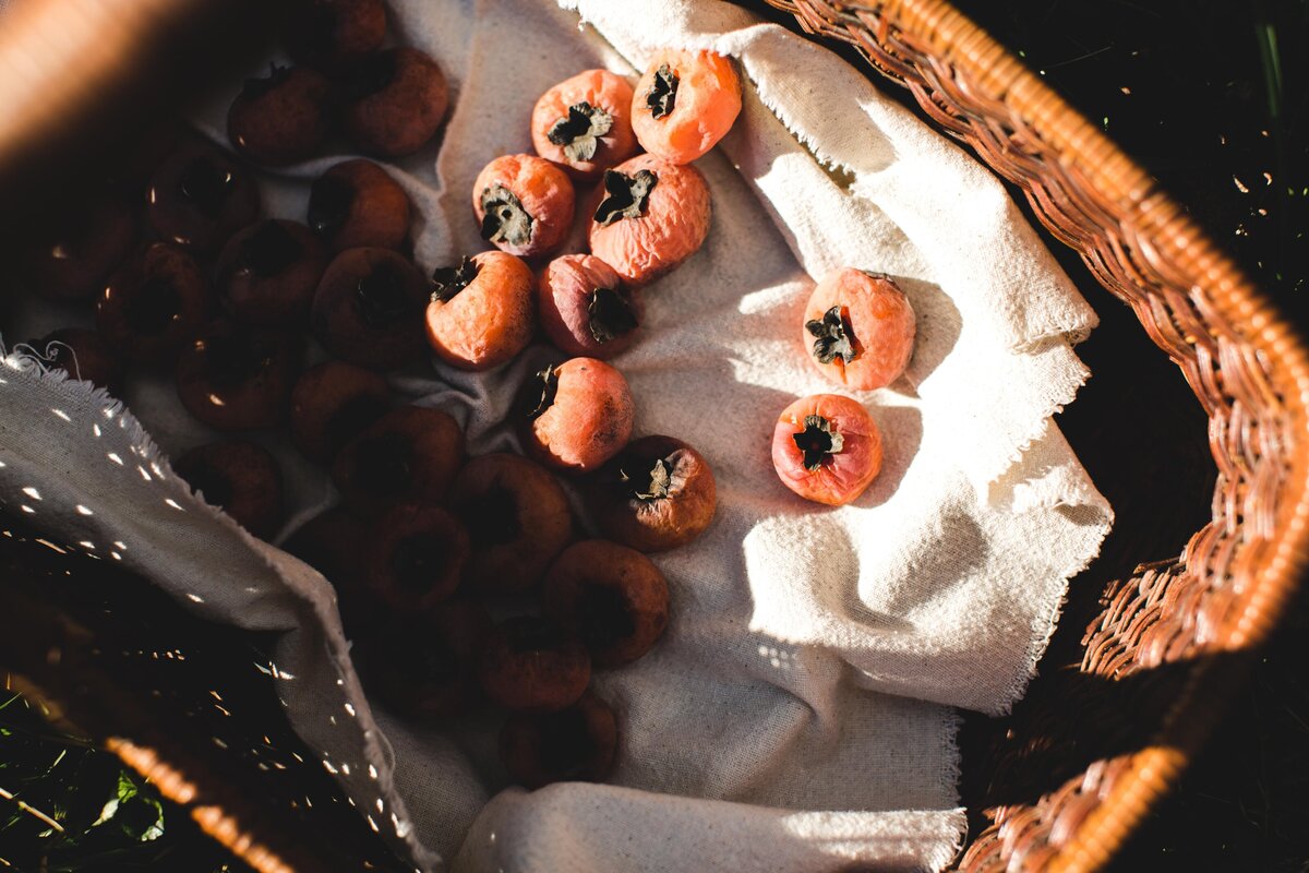 1111_foodhedge_heather2018_philadelphia brand photographer