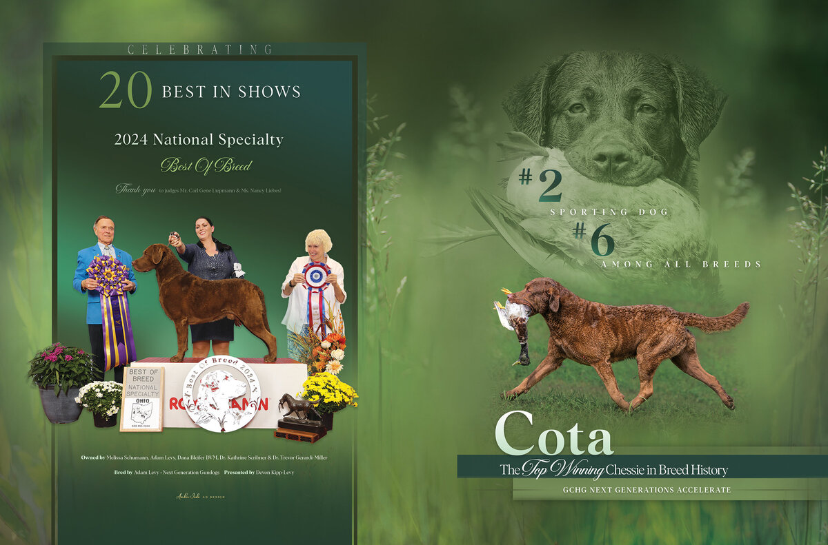Adam Levy - Canine Chronicle Final (1)
