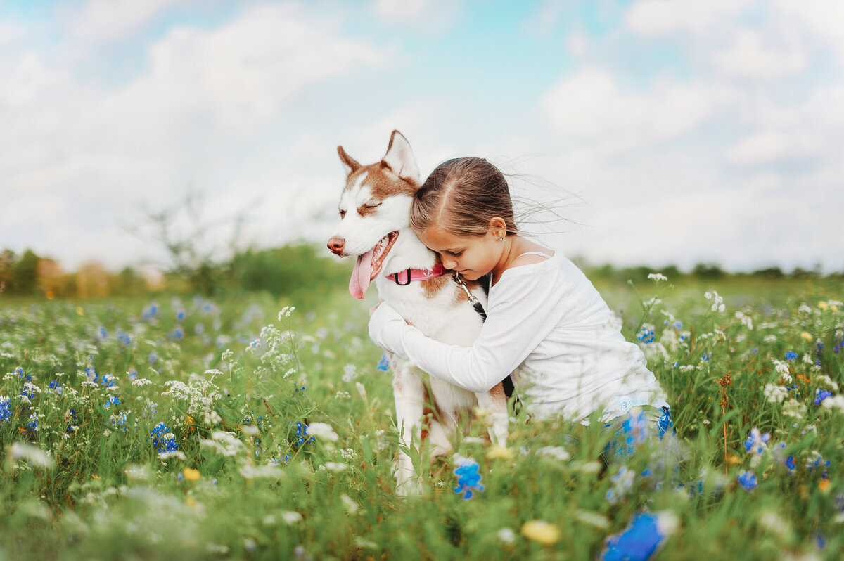 Young girl hugging a husky in a field of wildflowers during a family portrait session in Central Florida.