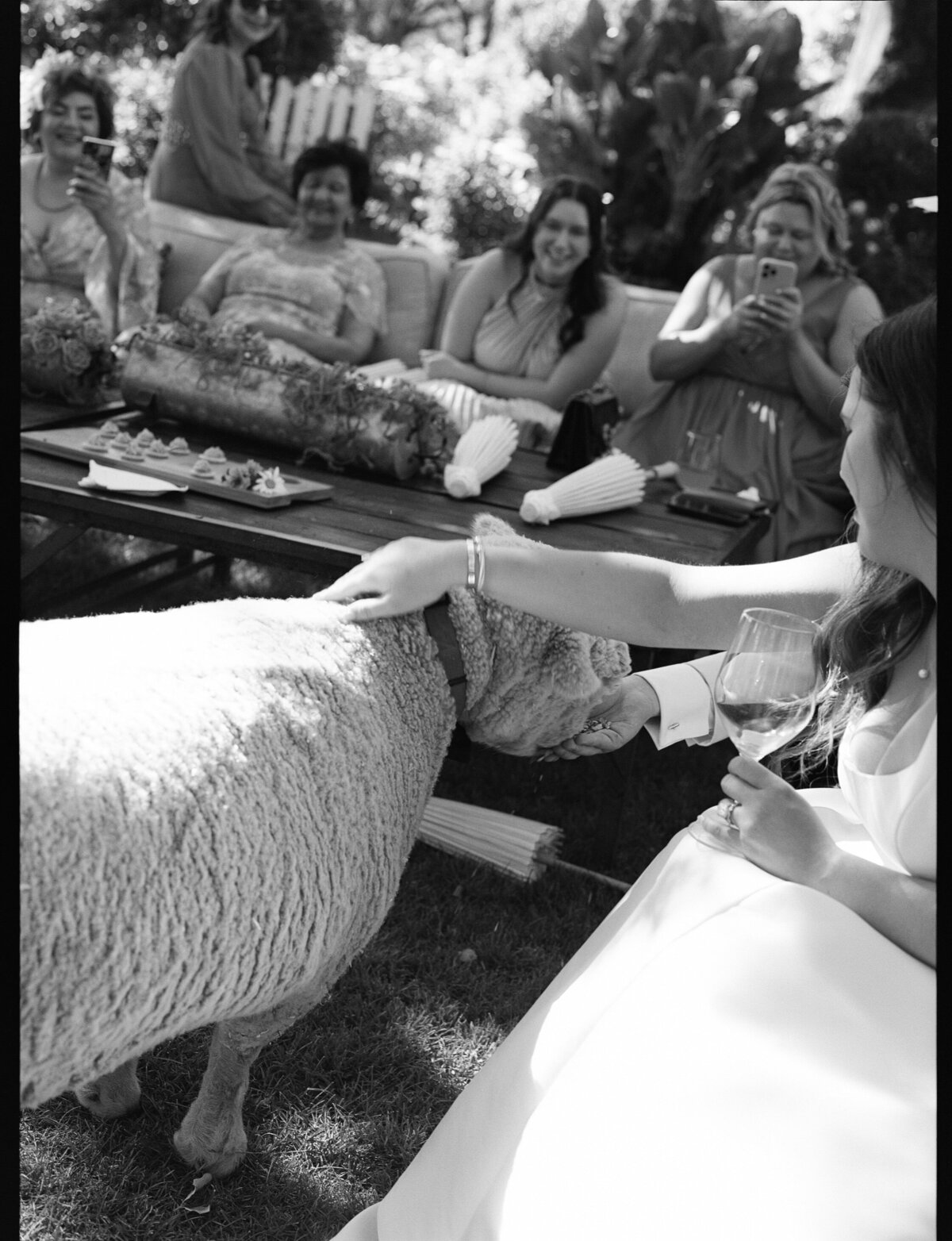 NatalieMax-Wedding-crystalkphotos-465