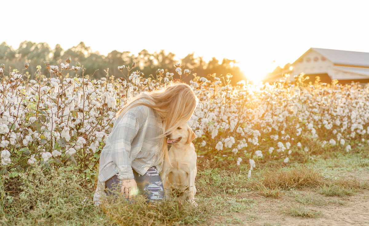 special moment with a little girl kissing her dog on his head in cotton field in georia at golden hour