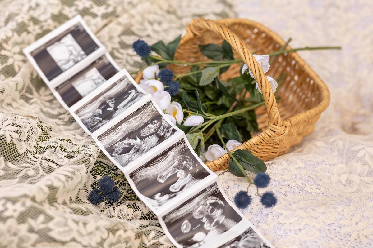 Maternity Styled Shoot-64