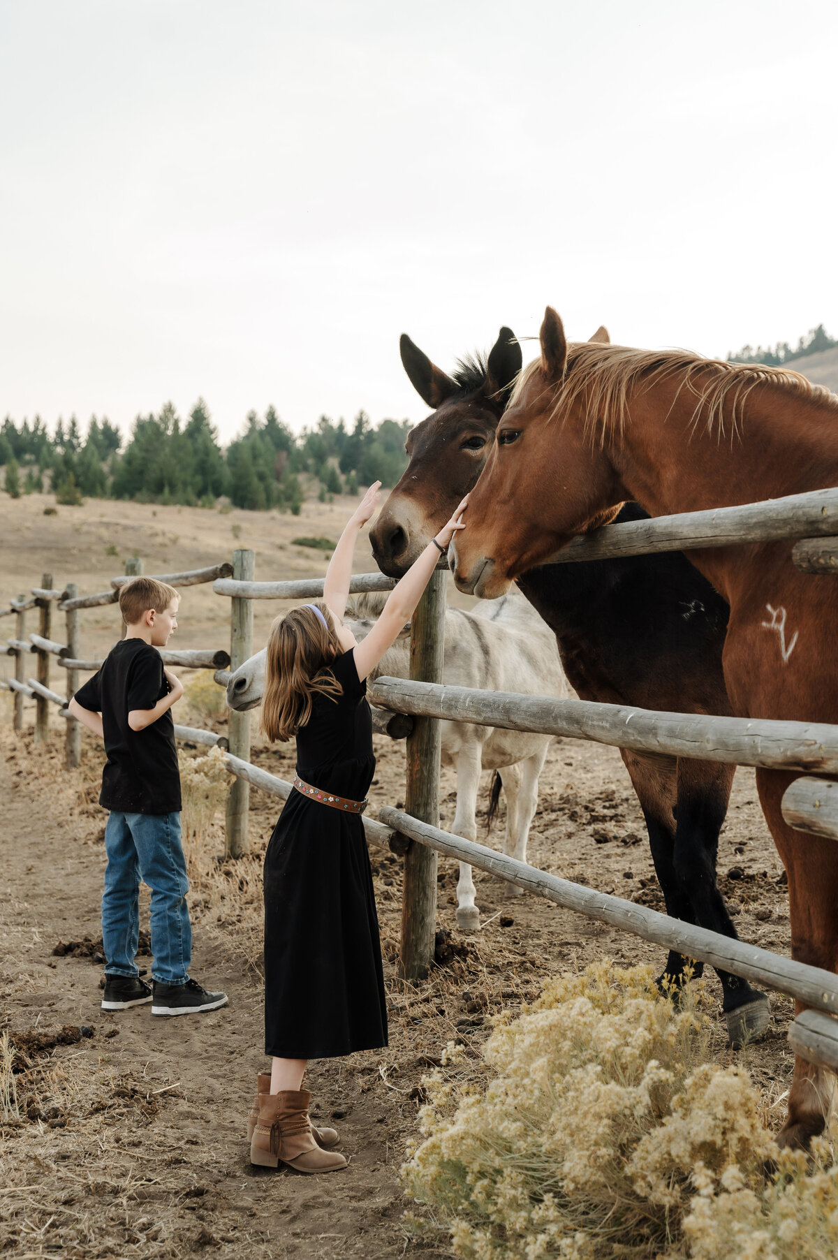 HansonFamily_MRPhotography-71