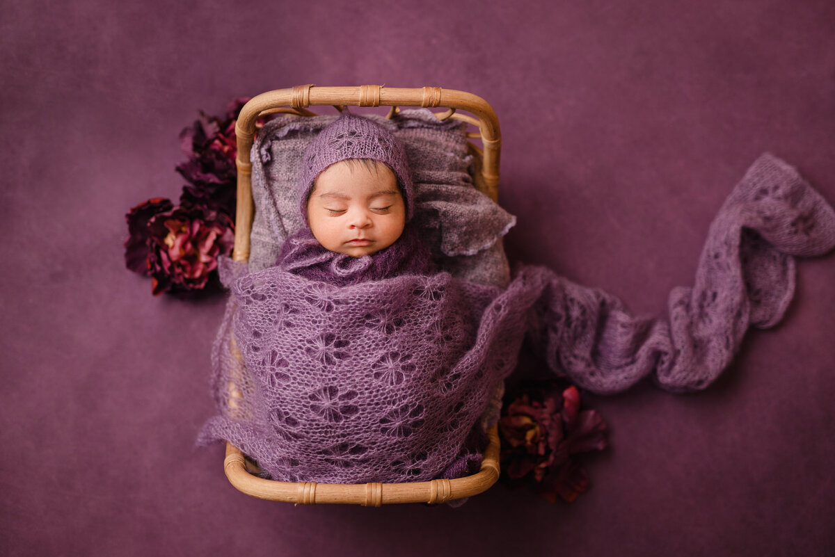 Seattle newborn baby girl in purple photo