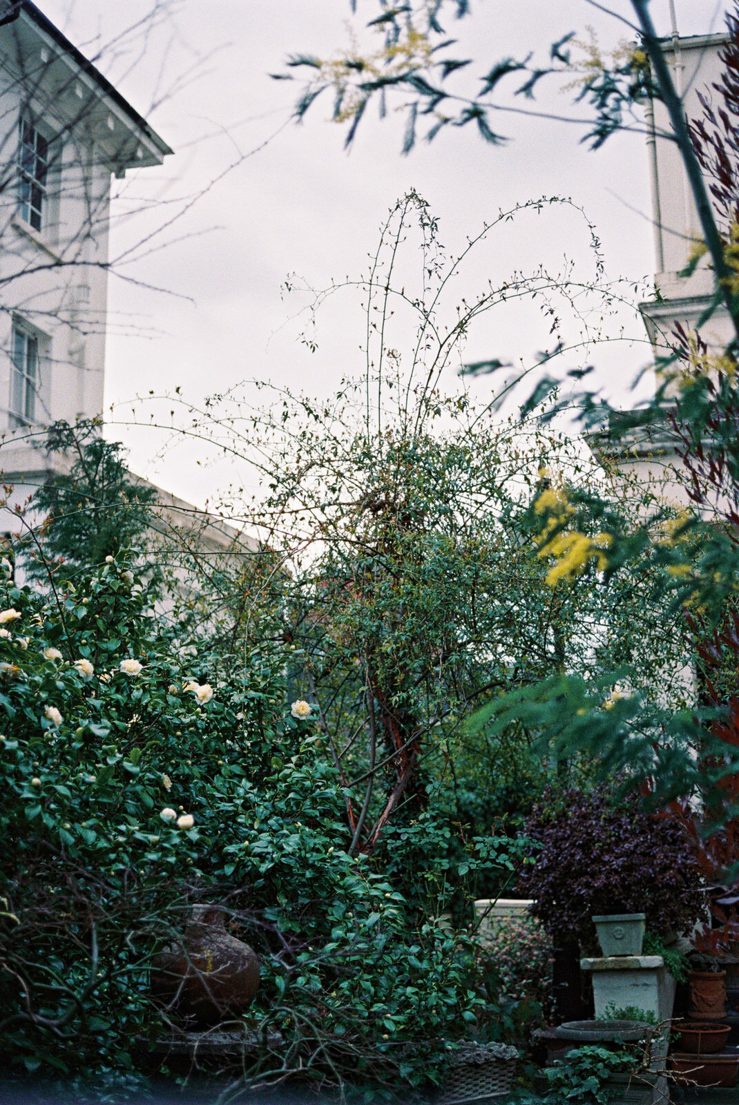 FloraAndGrace_London_Editorial_Wedding_Photographer (543 von 555)