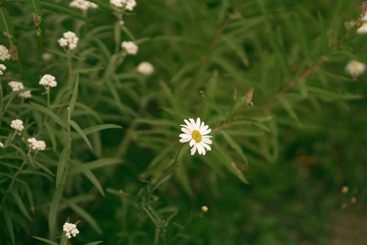 DSC08847-min