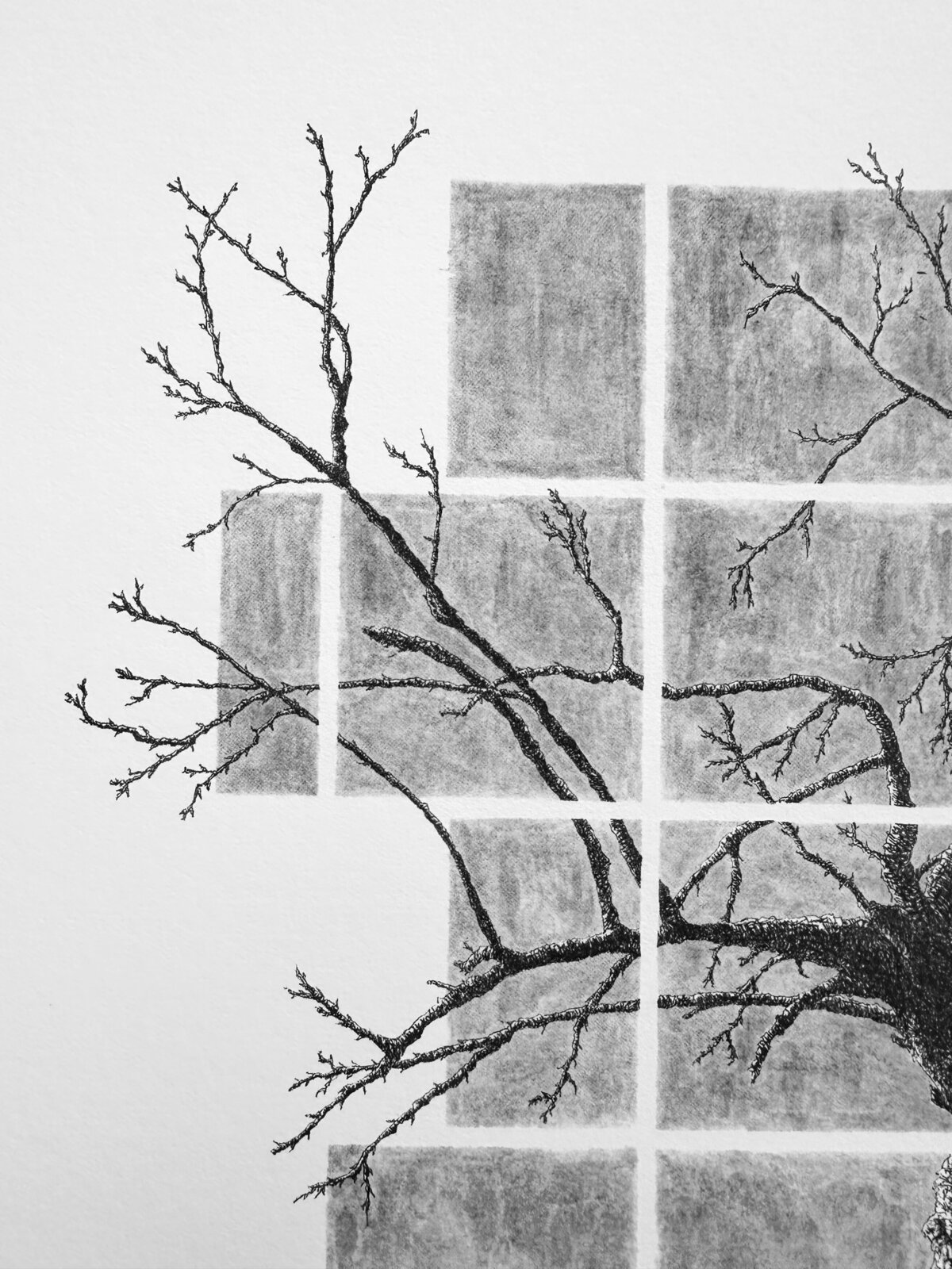 Tree Pen and Ink Detail