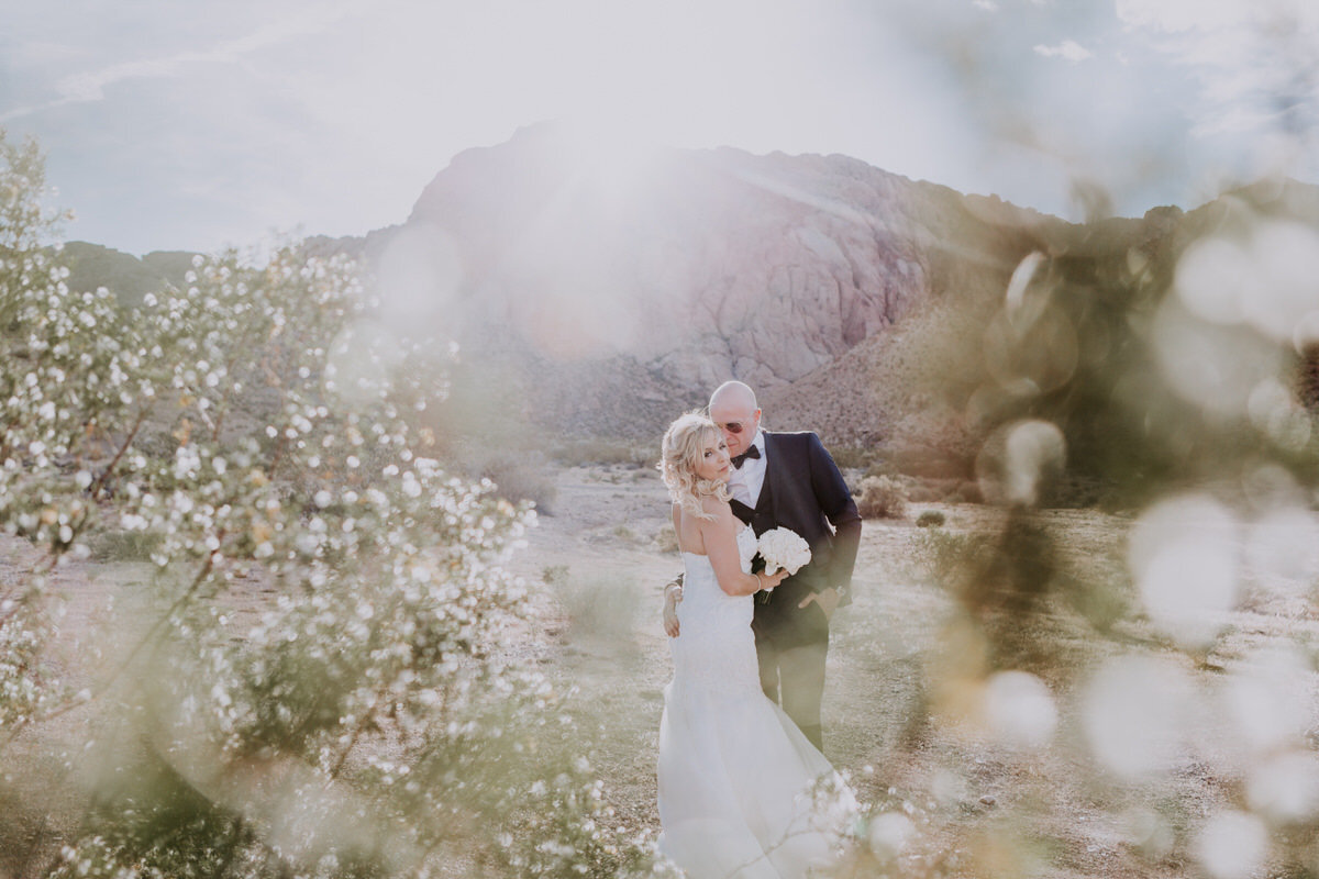 desert-elopement-photos-las-vegas-rl(63of73)