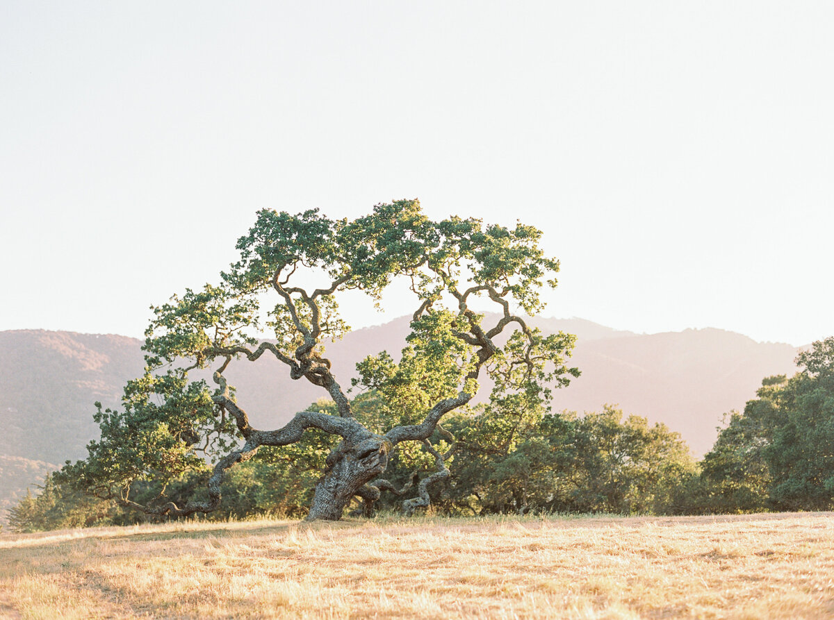 Holman_Ranch_Wedding_Carmel_CA_Jen_Rodriguez_001
