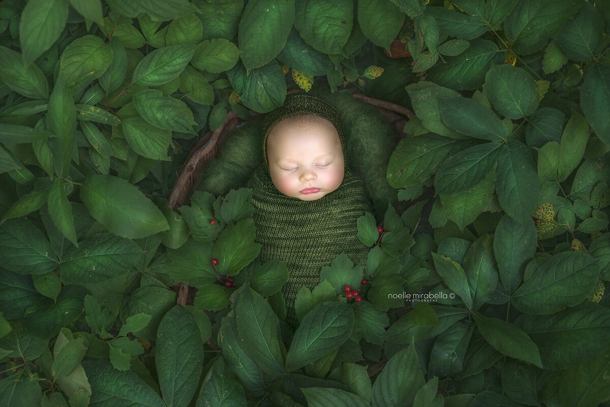 Newborn baby sleeping in nature in green foliage.