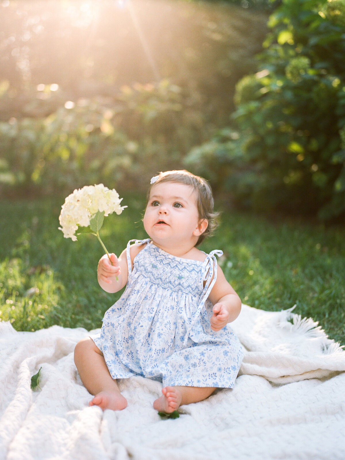 august-family-portraits-clifton-charlottesville-virginia-amy-nicole-photography-0134