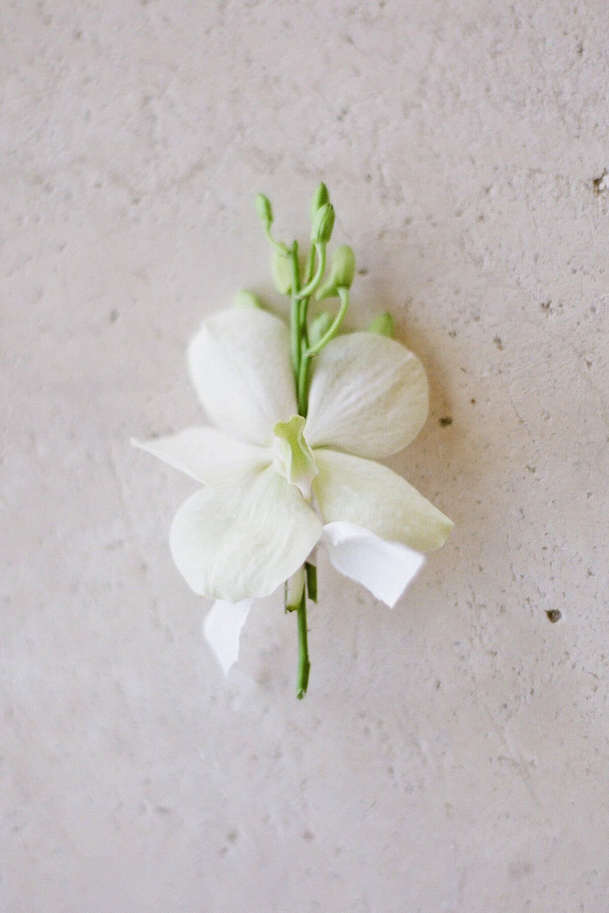 Anna_Grinets_Photography_Provence_wedding_Clos_Saint_Estève_054