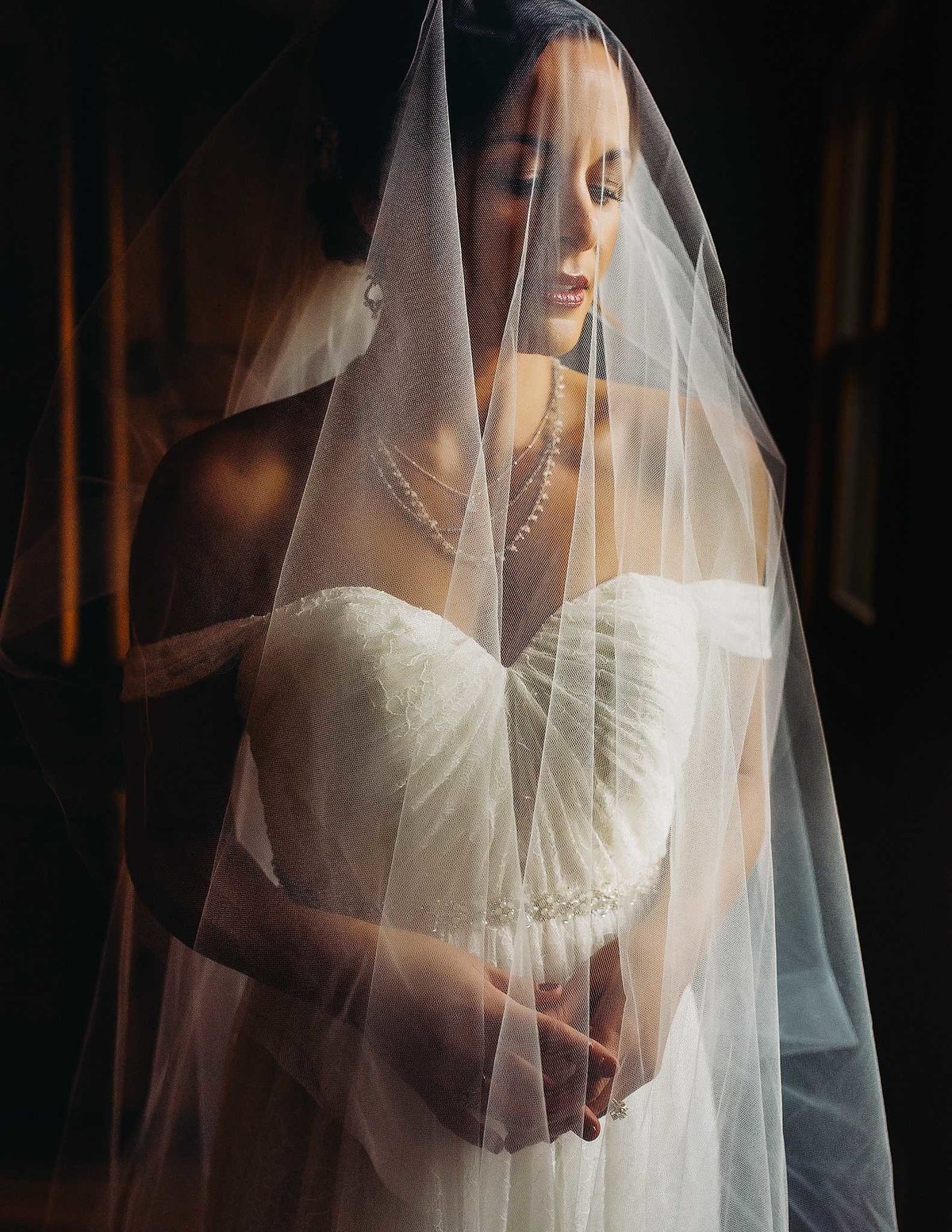Bride-with-veil-classic-portrait-charleston-Wedding-Photographers-in-Charleston-SC-Fia-Forever-Photography