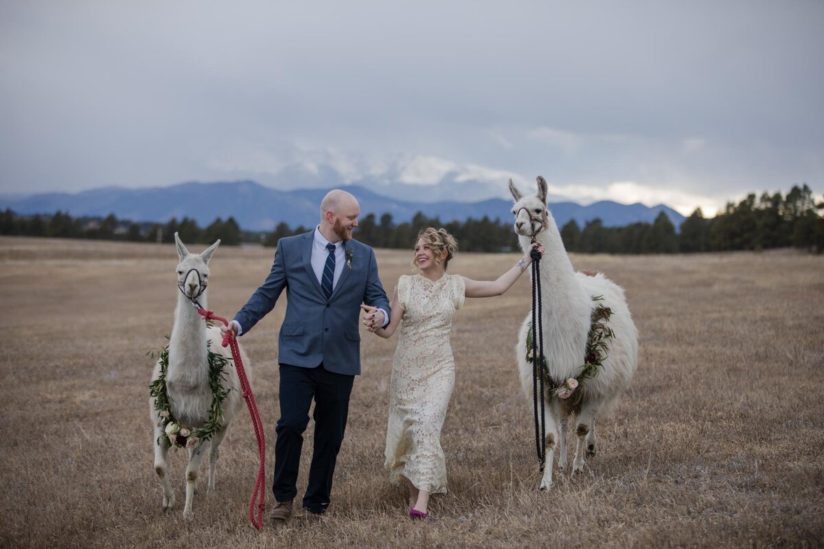 Llama Younger Ranch Styled Shoot KCP-1255