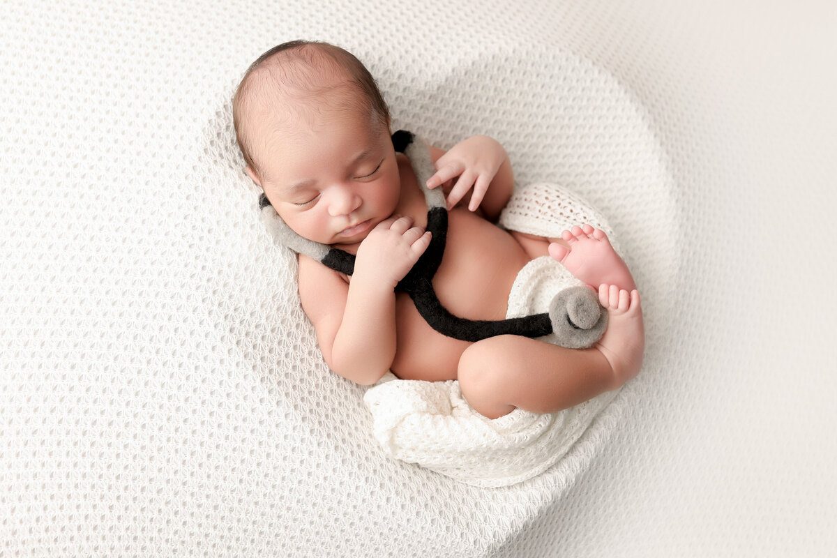 Newborn Doctor Photography