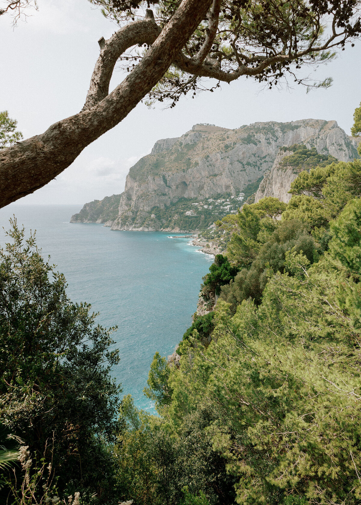 Dawn-Clive-Capri-Wedding-28