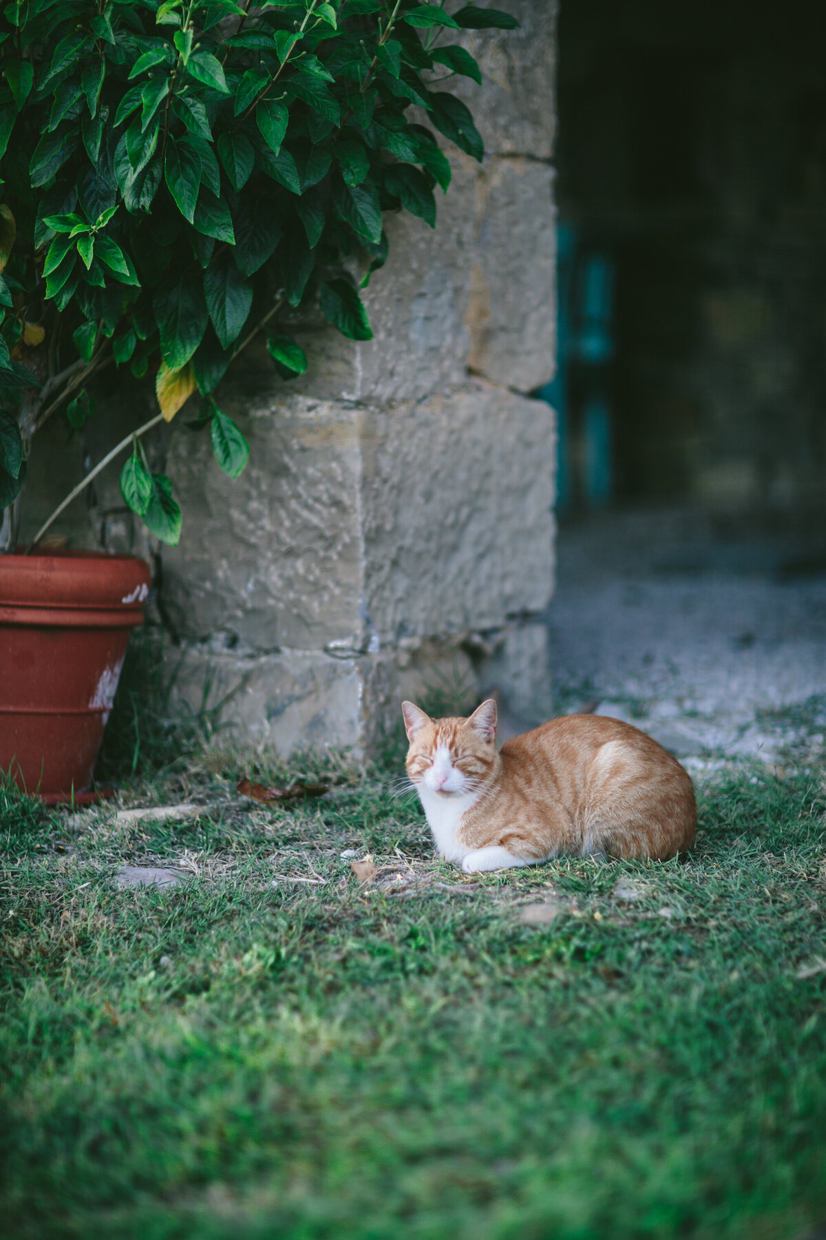 Croatia Workshop 2016 by Eva Kosmas Flores-57