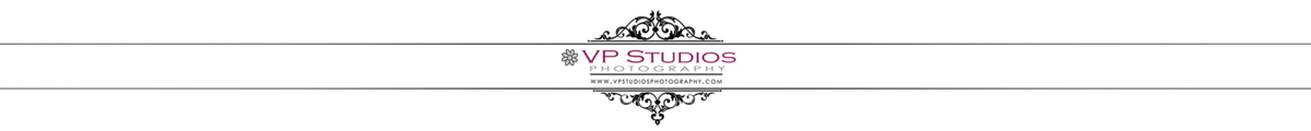 Mike and Jenny VP Studios Photography Wedding Photographers Burlington Ontario
