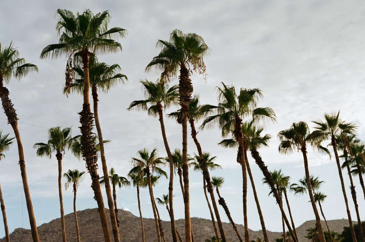 MeganandWill_03SunriseRession-8