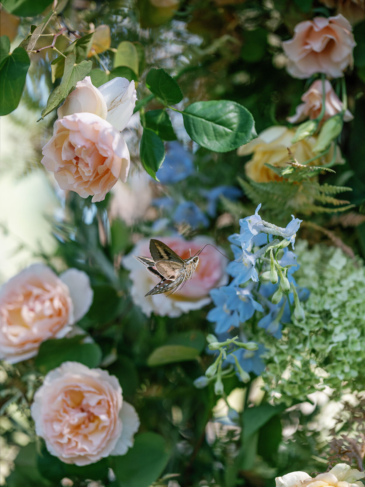 Tahoe-greagle-wedding-dejauregui-photography-22