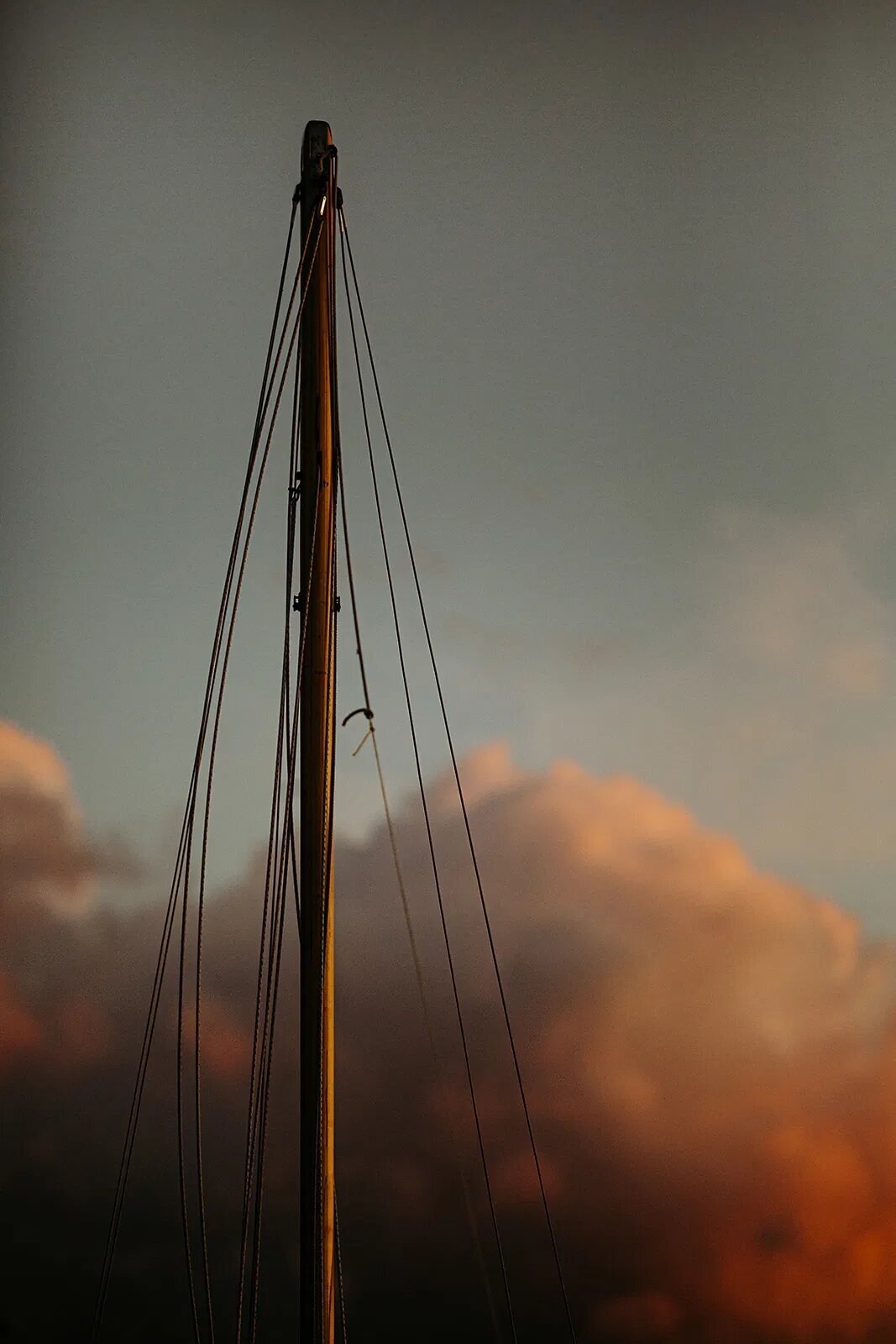 twentytwenty-033_websize