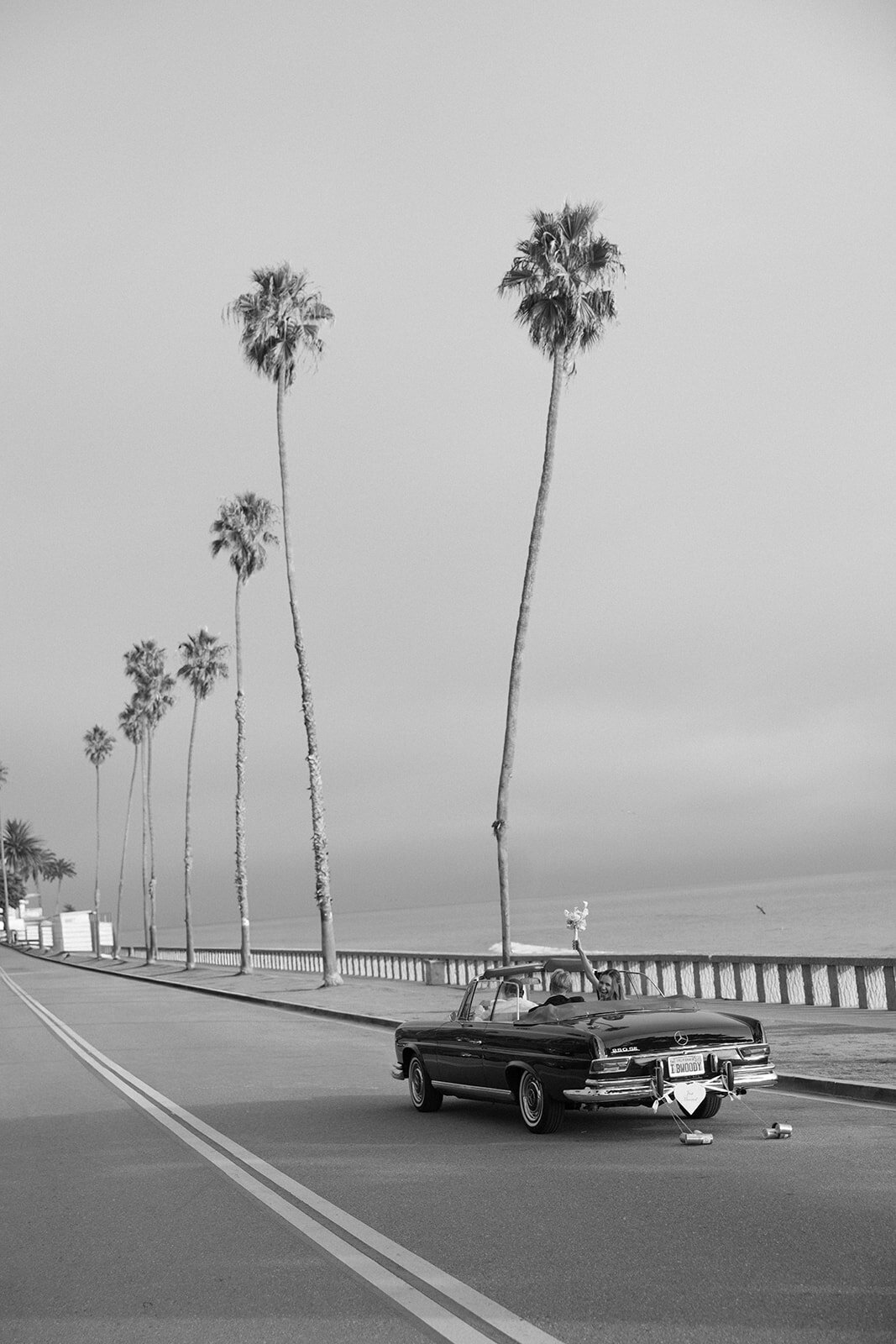 Malaya Images - 102425 Grace and Zachary - Sneak Peek (97 of 142)_websize