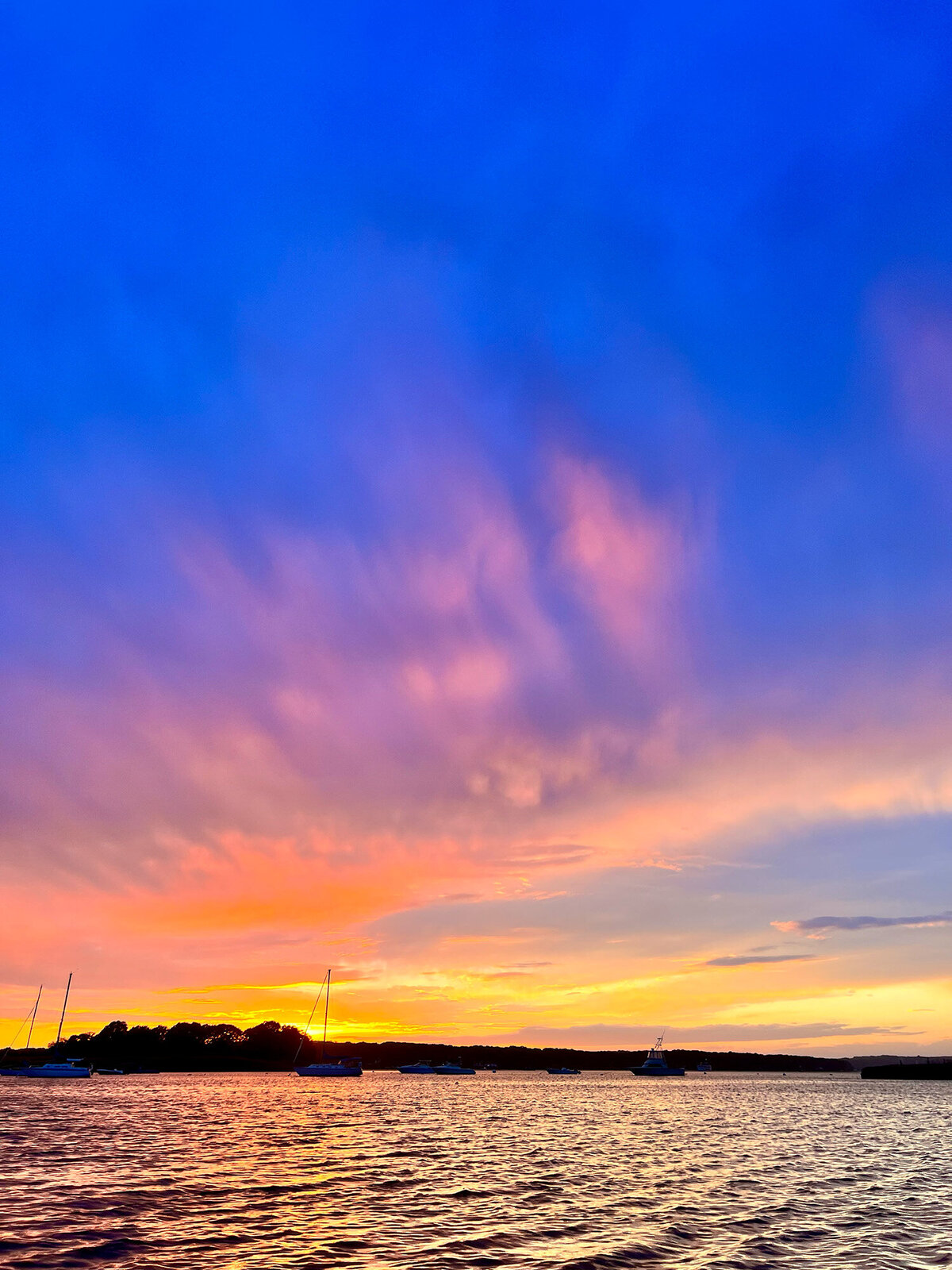 CCC_Estuary_23