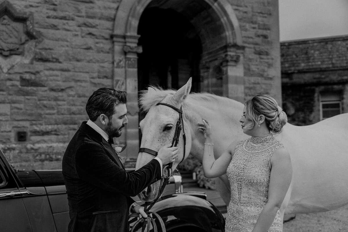 Bride and groom petting white horse black and white
