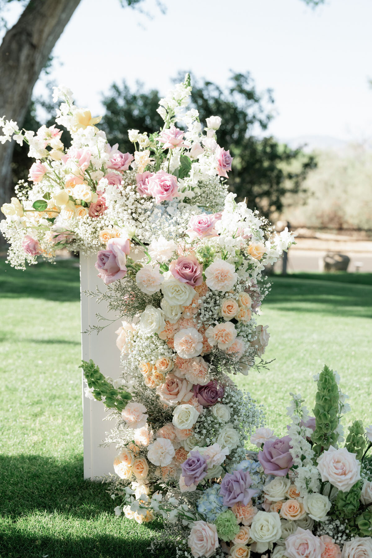 Classic Arizona desert wedding photo at La Mariposa in Tucson