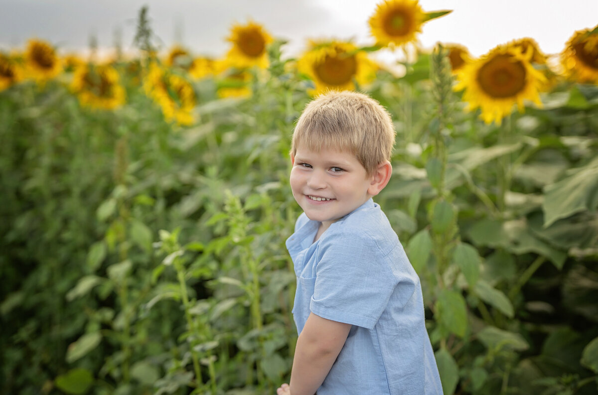 kdsunflowers117