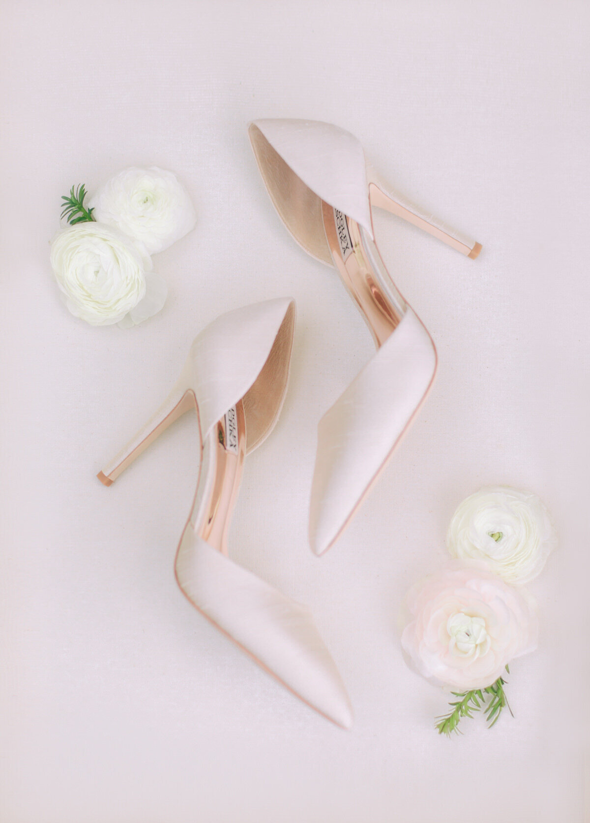 shoe