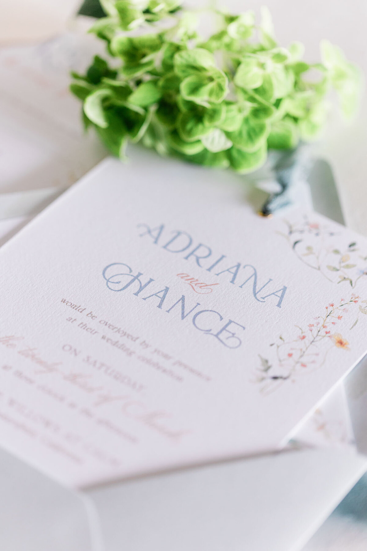 Alexis Hamey Styled Shoot-38