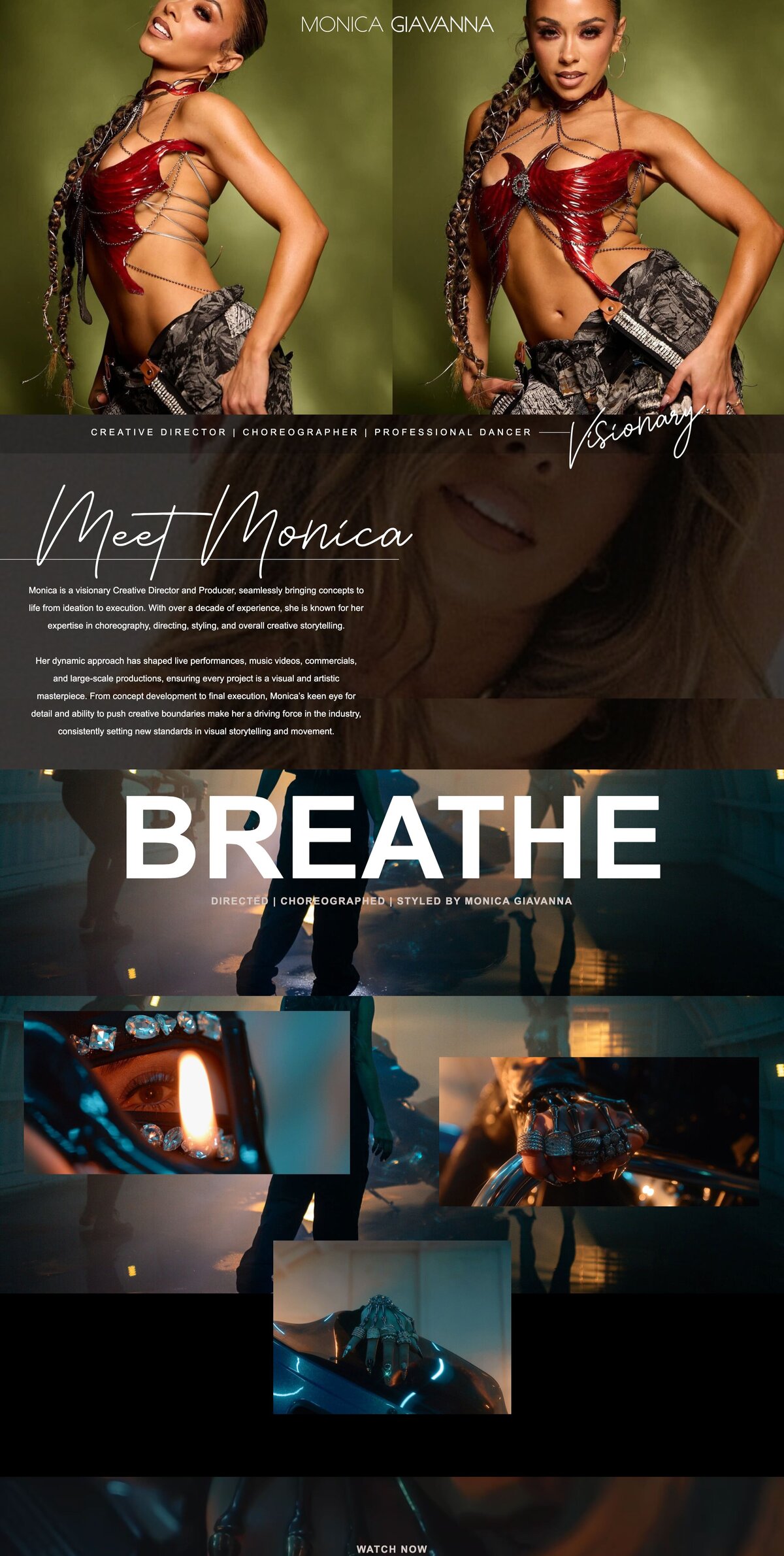 frankie-segal-web-design-2