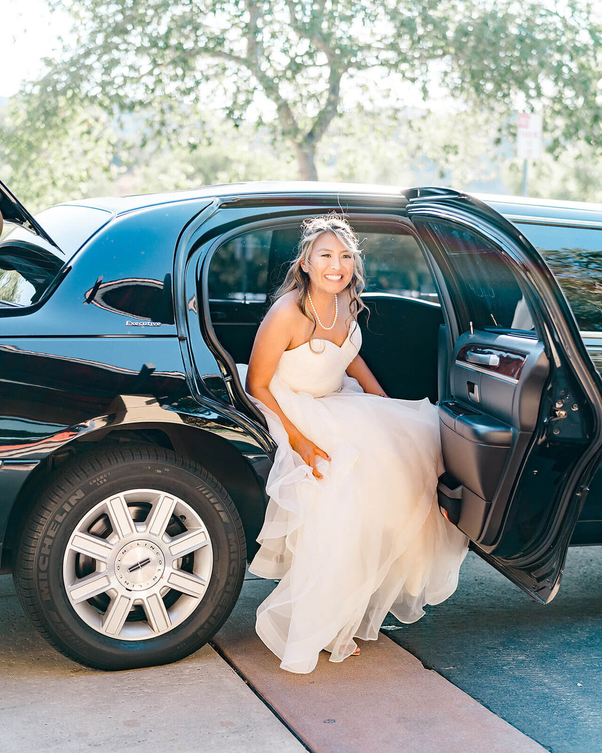 Bridal portrait captured by Vanessa Montano Photography – Livermore vineyard at sunset.