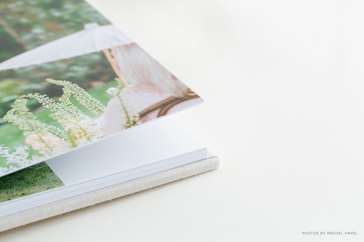 RedTree-Albums-Rachel Havel, RedTree Album-190
