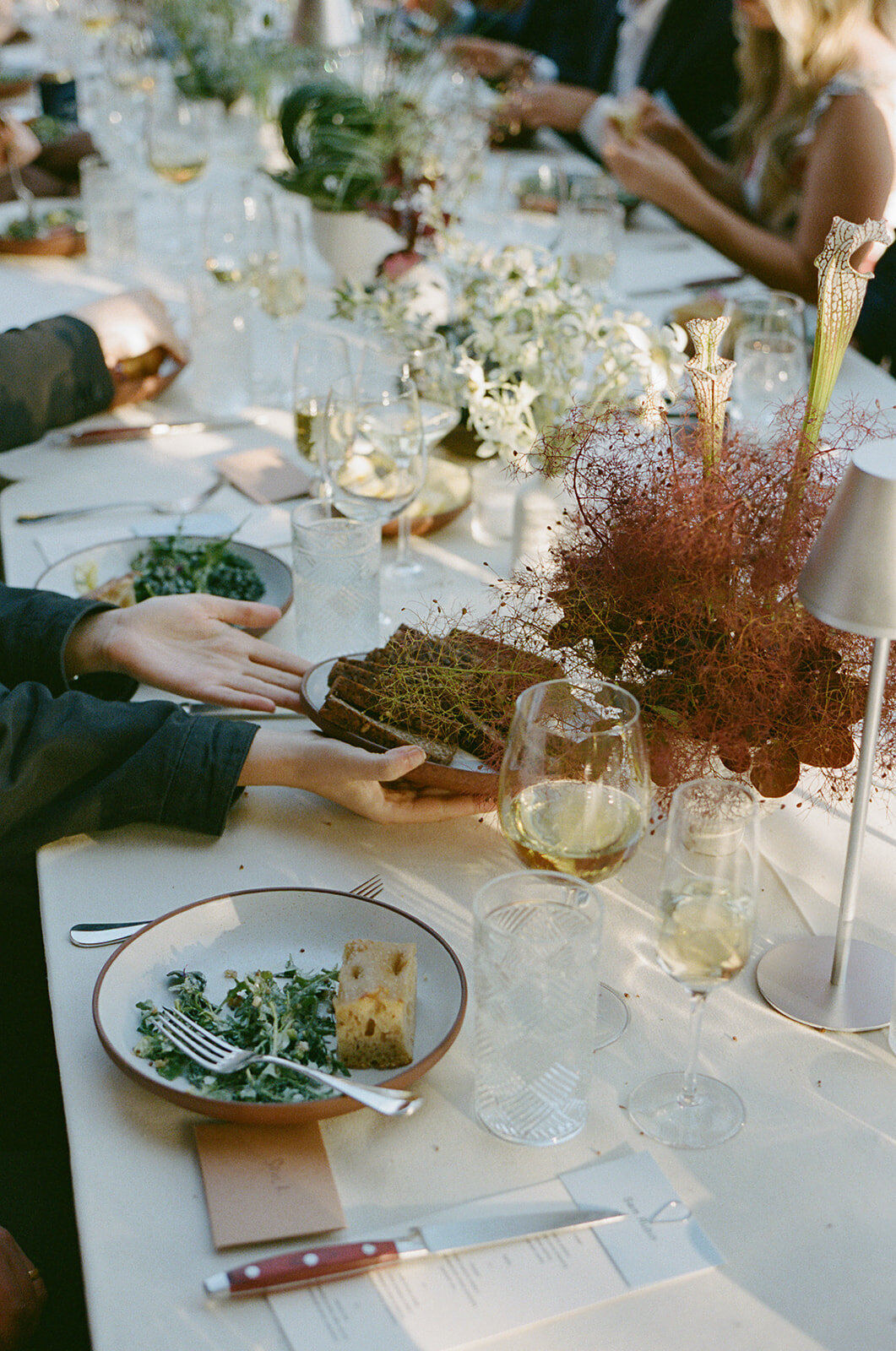 Rebecca+August-Lodge-at-Marconi-246
