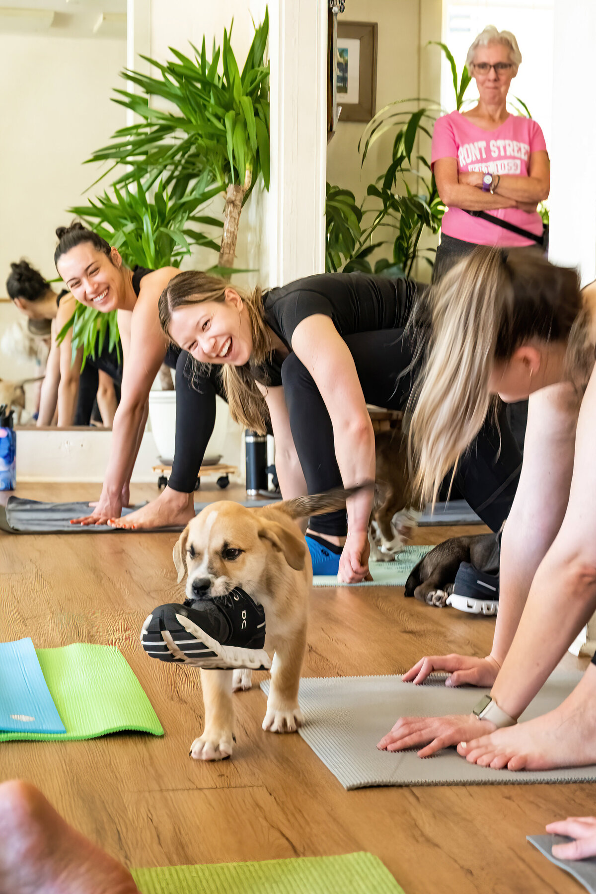 PuppyYoga-HerElevated-FrontStreet-VictoriaLockwood-May-21-2023-staceydoyle-252R