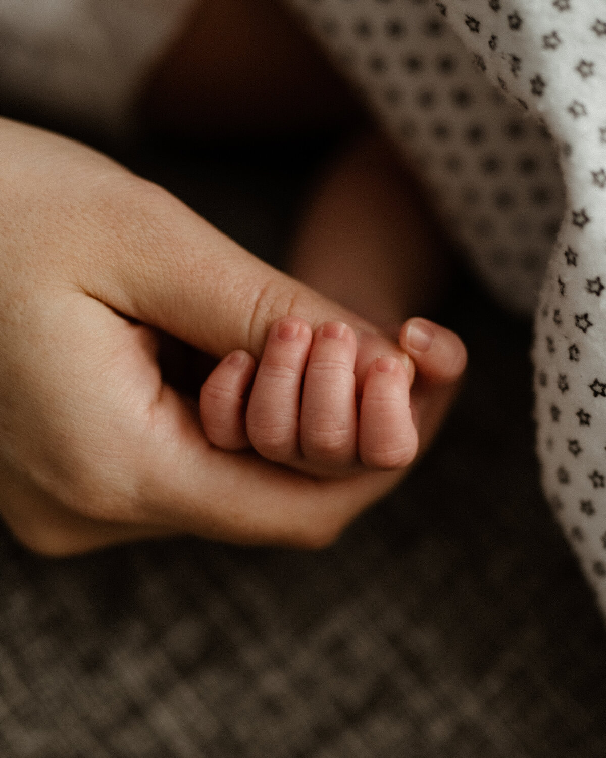 toronto-family-maternity-at-home-new-born-22