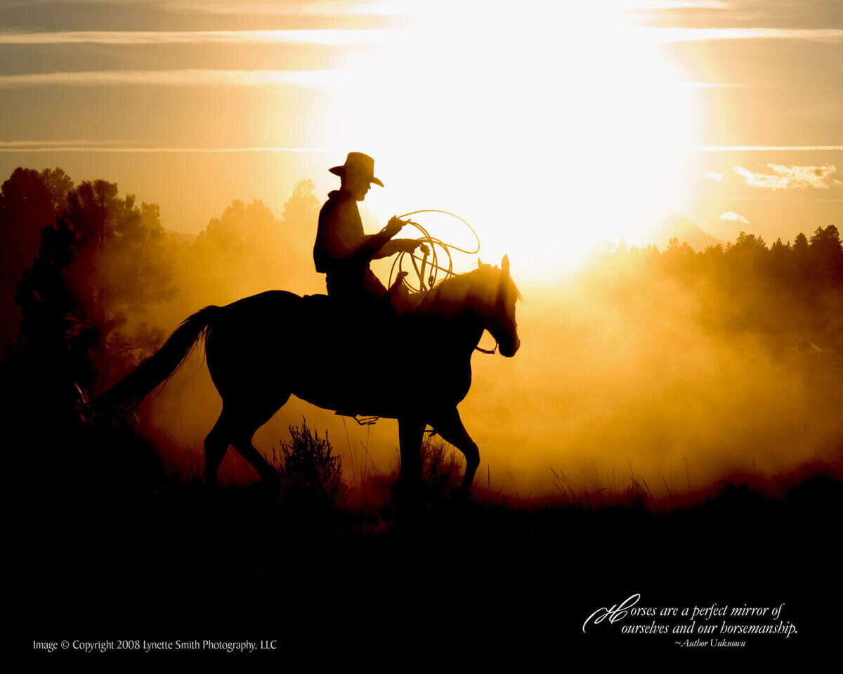 Equine-Photography-Lynette-Smith5