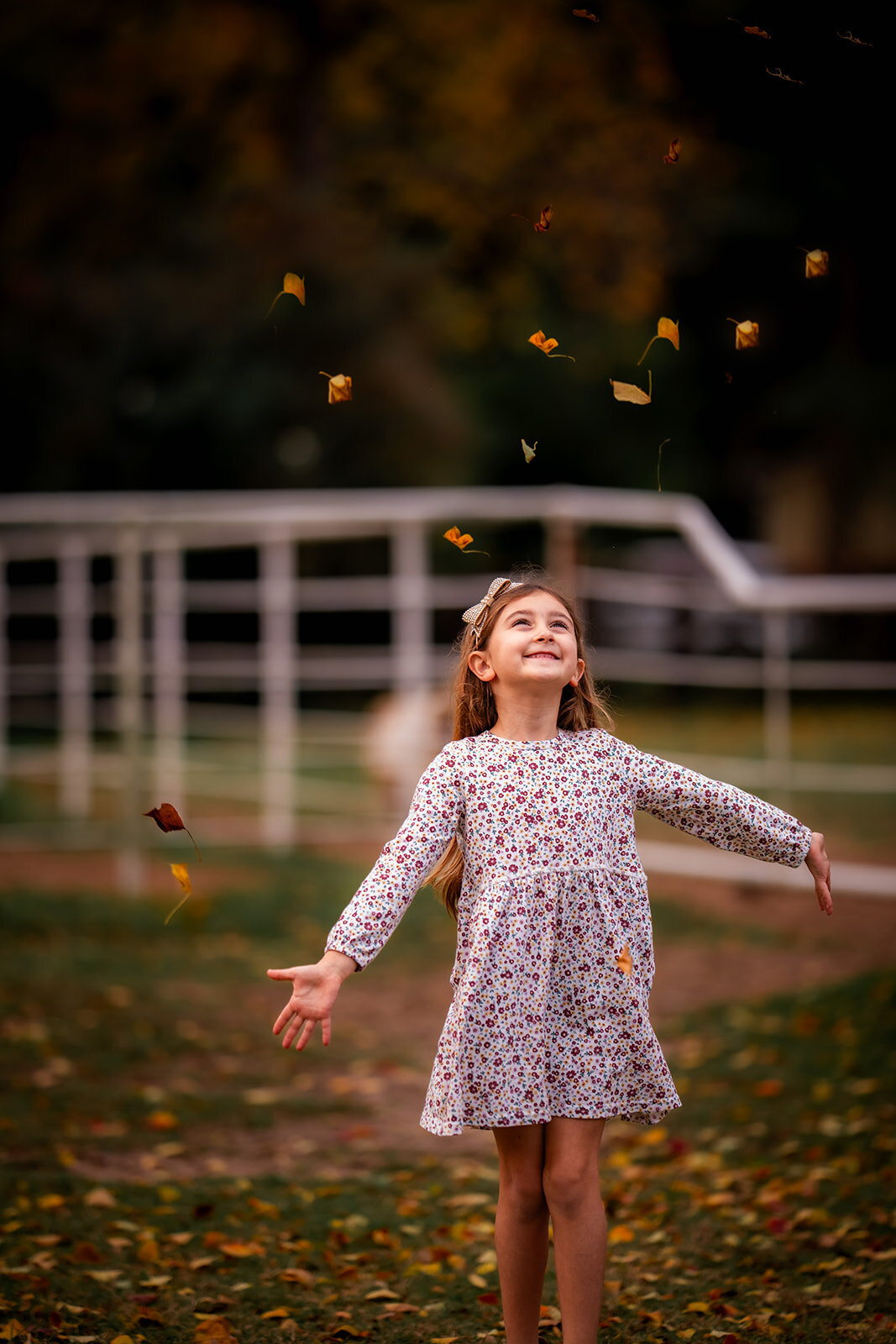 Susan Del Broccolo Photography is a Houston Lifestyle Photographer based in the Houston area specializing in Equine, Senior Graduate, Families & More
