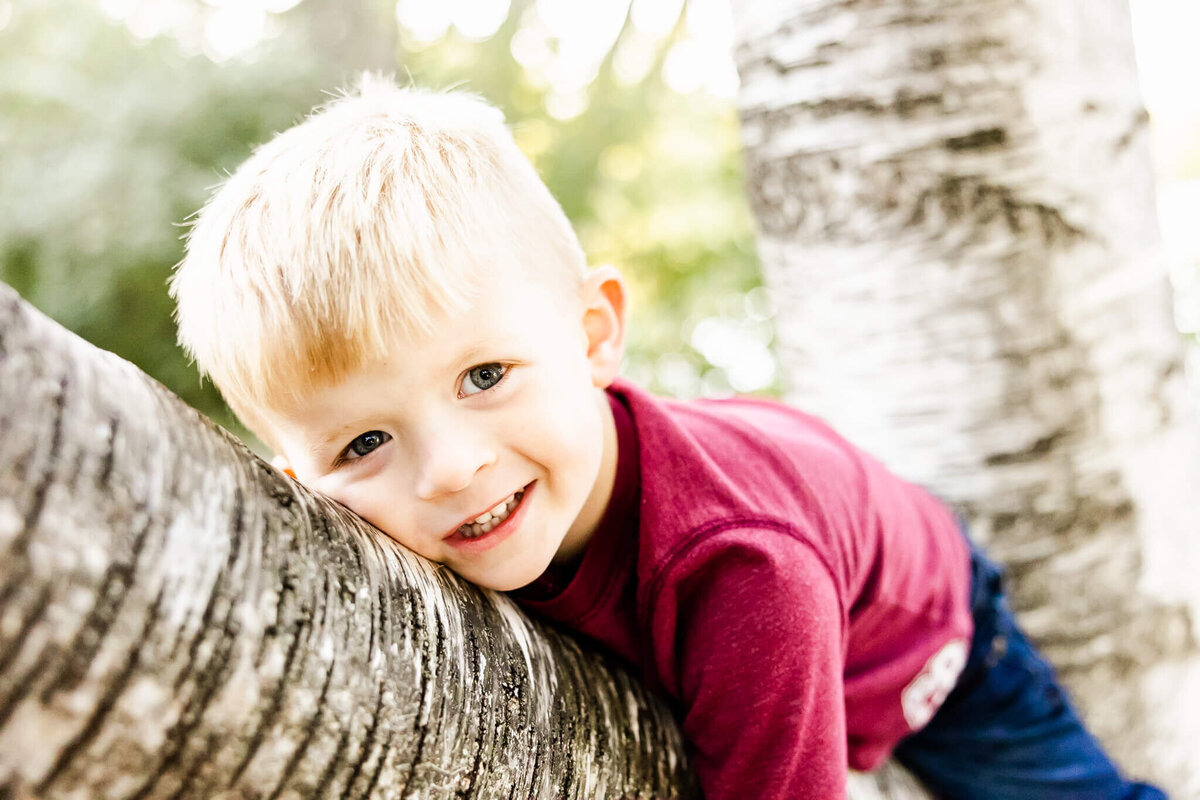 Toddler boy resting on a tree branch during family session in Oswego, IL.