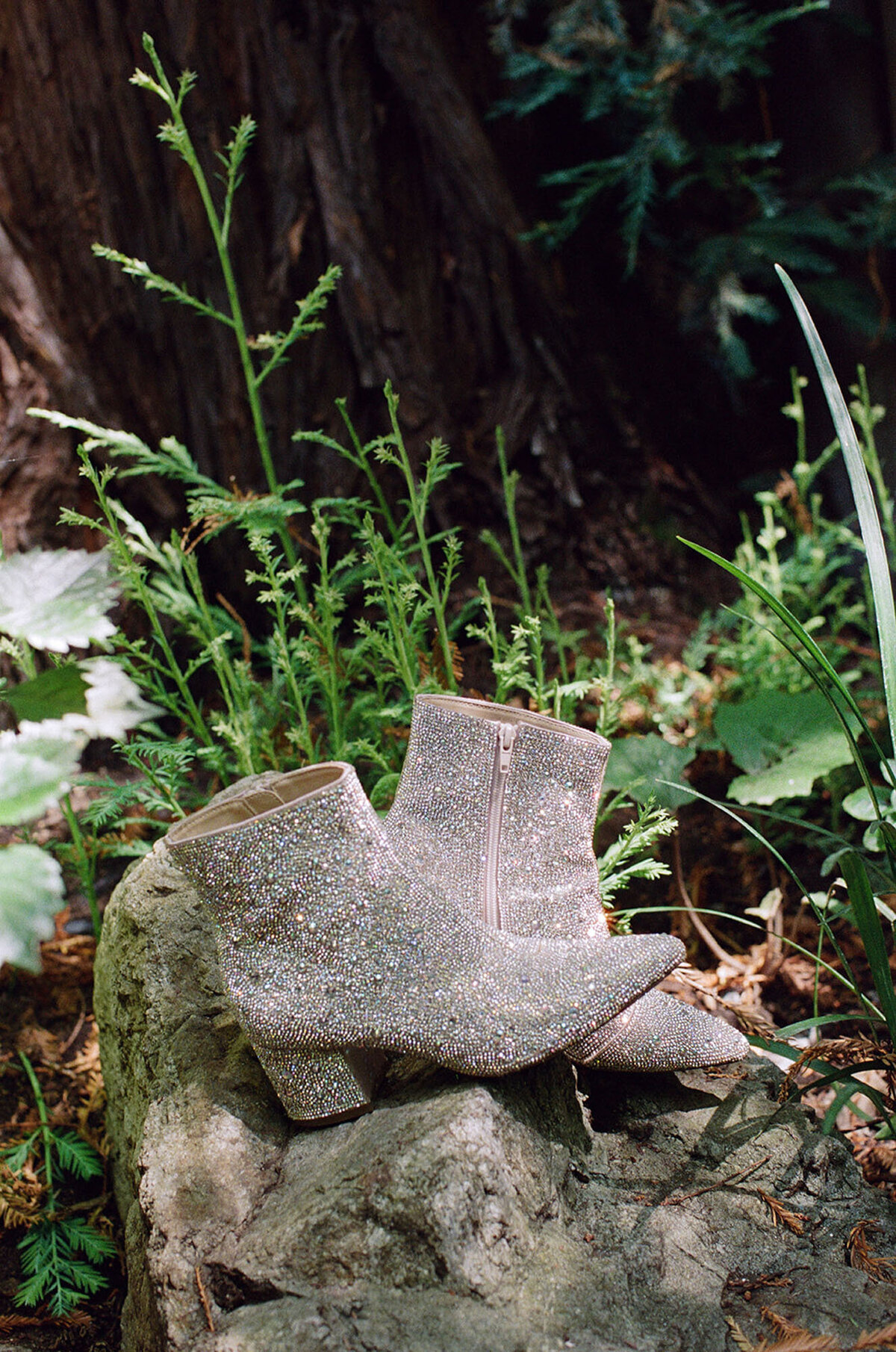 Glen-Oaks-Big-Sur-Roadhouse-Fall-Wedding-Wes-Anderson-Camp-5