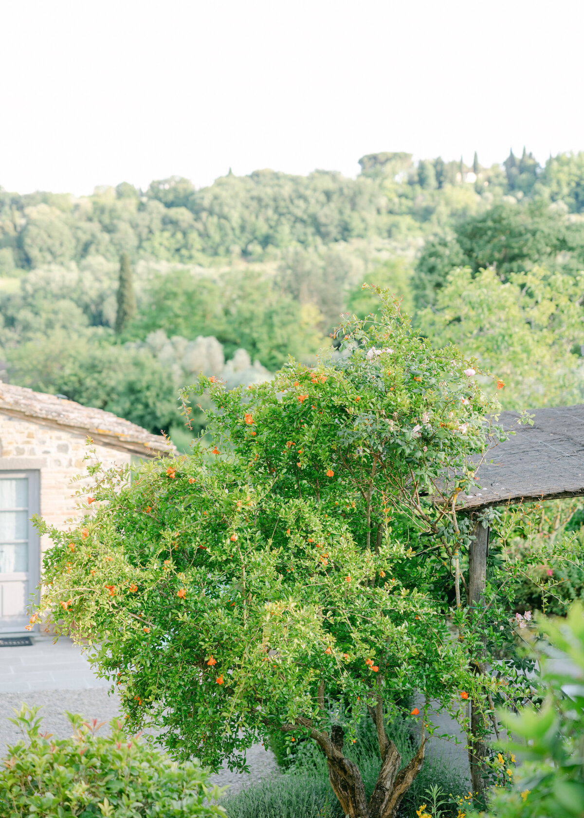 Tenuta_Guardastelle_Tuscany_Italy_Wedding_Photographer_Alyse_and_Ben_Photography-8263