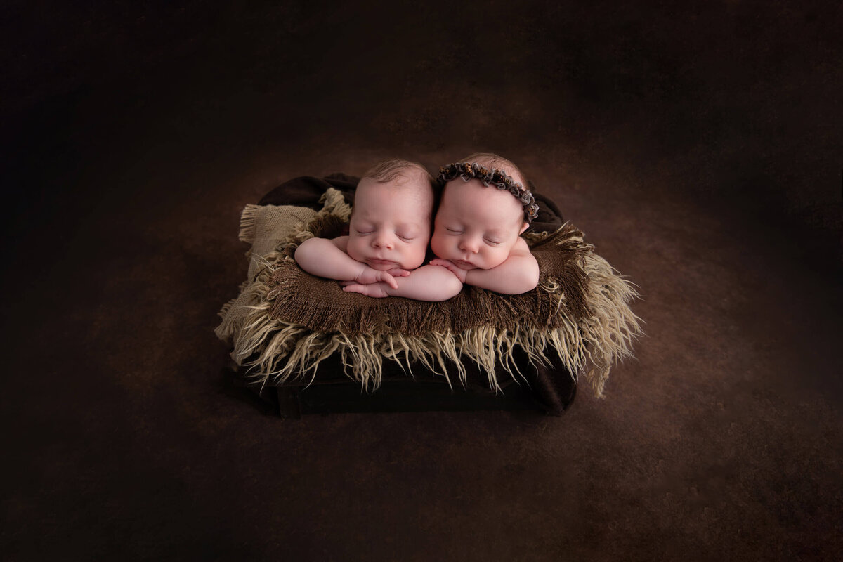 twin boy and girl in a bucket with a brown background for their twin newborn photography session Burlington, Ontario.