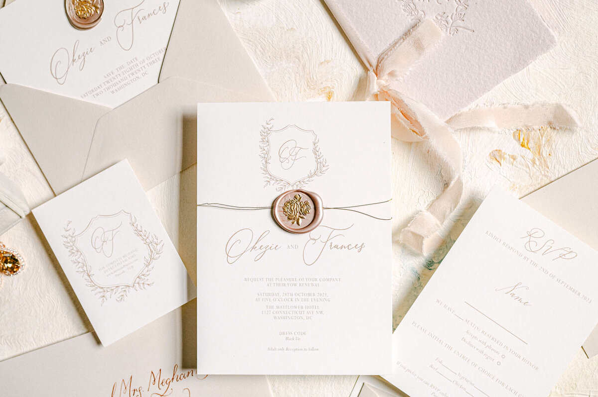 okezie-frances-wed-6