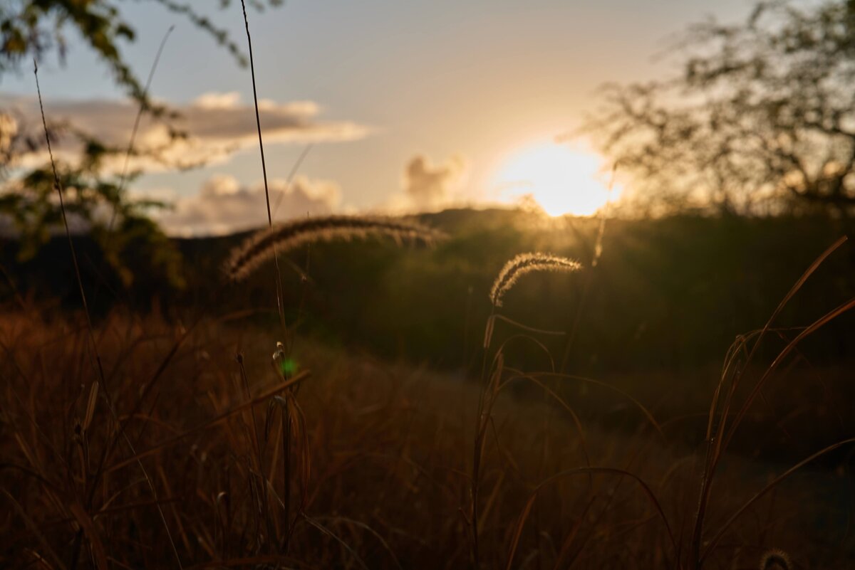 P1080534